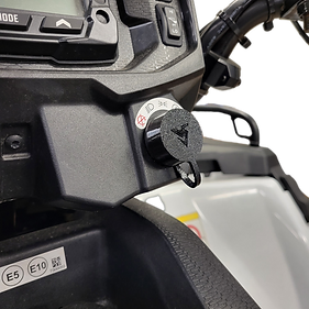 Ignition switch protector